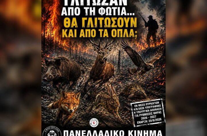 Κακοποίηση ζώων και ακτιβισμός - Η αδέσμευτη φωνή των τετράποδων