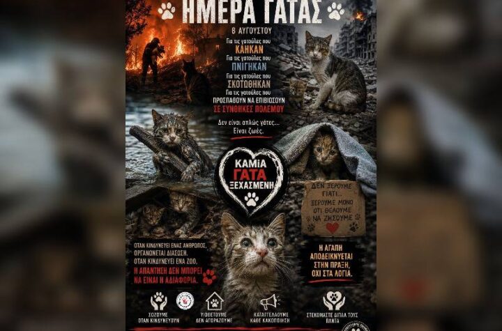 Κακοποίηση ζώων και ακτιβισμός - Η αδέσμευτη φωνή των τετράποδων
