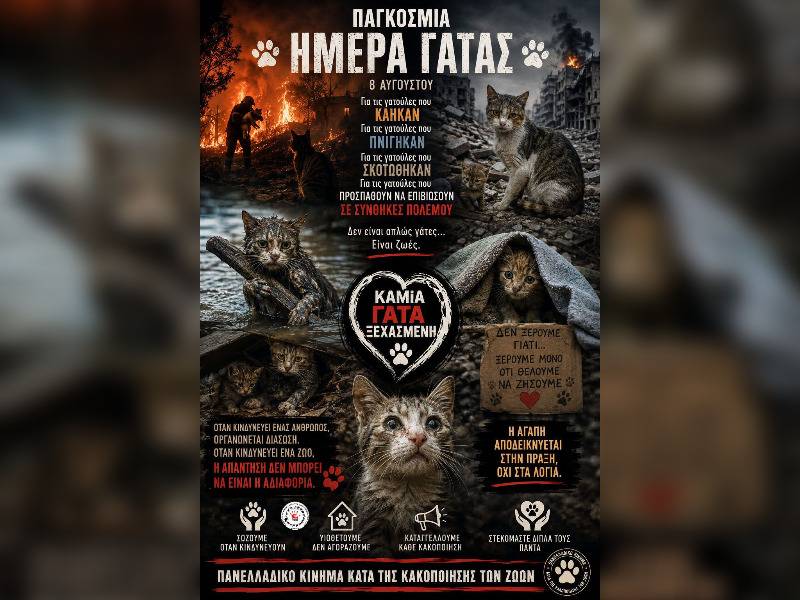 Κακοποίηση ζώων και ακτιβισμός - Η αδέσμευτη φωνή των τετράποδων