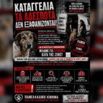 Κακοποίηση ζώων και ακτιβισμός - Η αδέσμευτη φωνή των τετράποδων