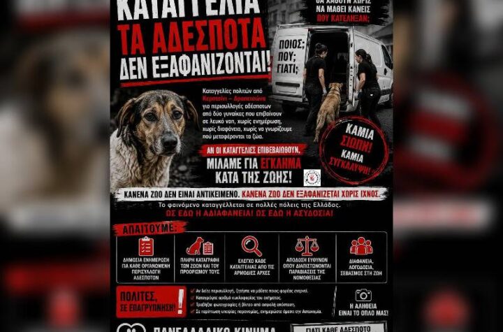 Κακοποίηση ζώων και ακτιβισμός - Η αδέσμευτη φωνή των τετράποδων