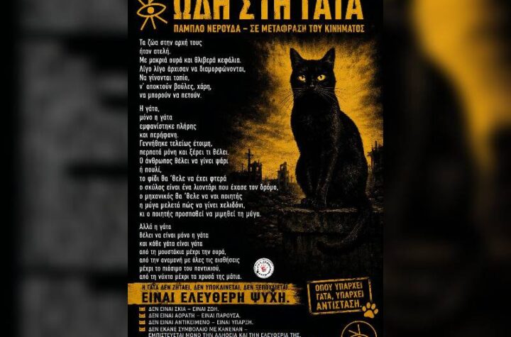 Κακοποίηση ζώων και ακτιβισμός - Η αδέσμευτη φωνή των τετράποδων