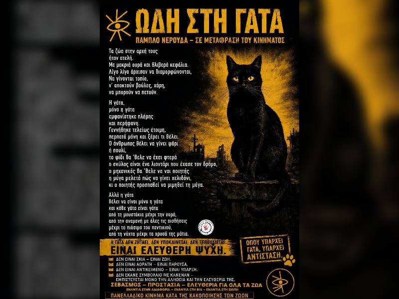 Κακοποίηση ζώων και ακτιβισμός - Η αδέσμευτη φωνή των τετράποδων