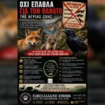 Κακοποίηση ζώων και ακτιβισμός - Η αδέσμευτη φωνή των τετράποδων