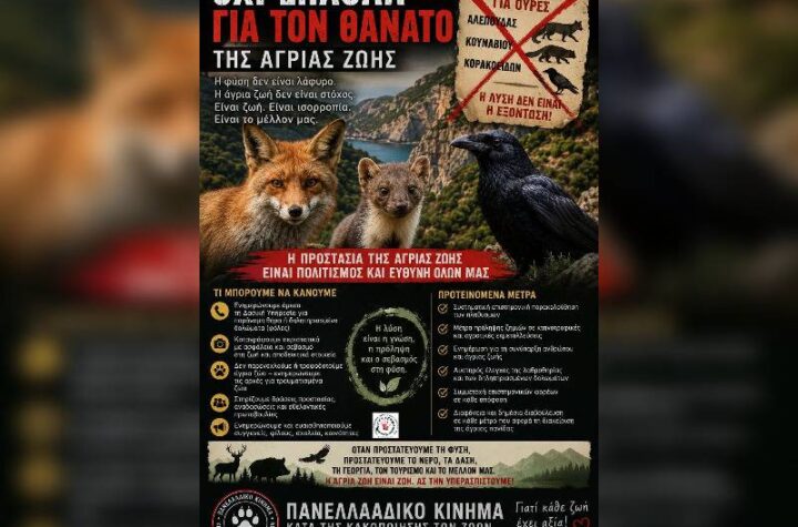 Κακοποίηση ζώων και ακτιβισμός - Η αδέσμευτη φωνή των τετράποδων