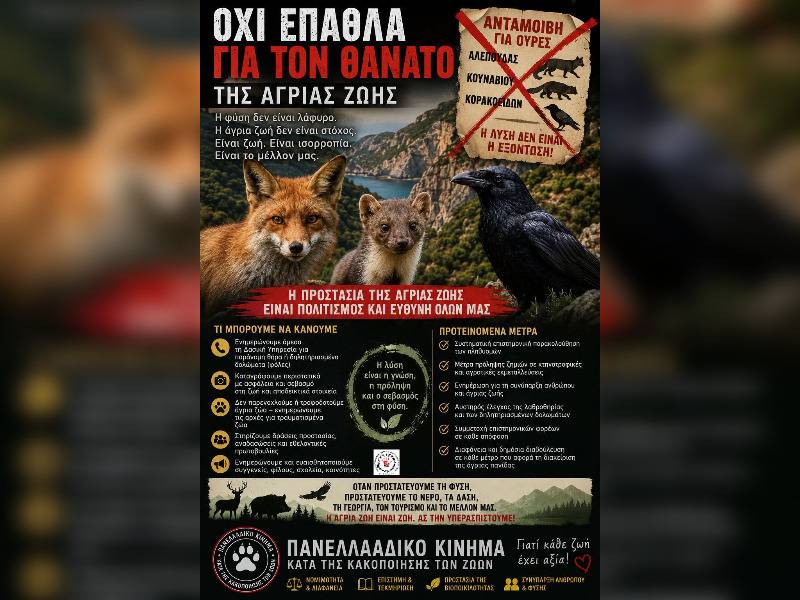 Κακοποίηση ζώων και ακτιβισμός - Η αδέσμευτη φωνή των τετράποδων