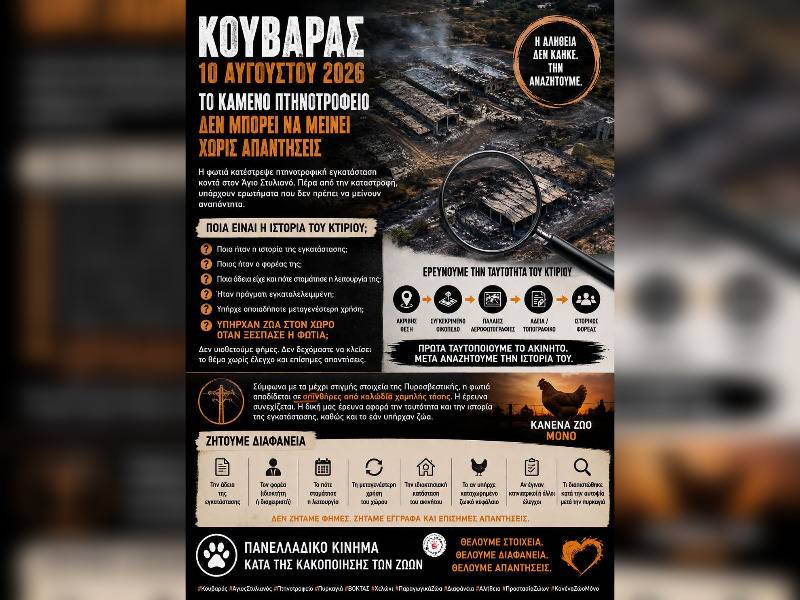 Κακοποίηση ζώων και ακτιβισμός - Η αδέσμευτη φωνή των τετράποδων