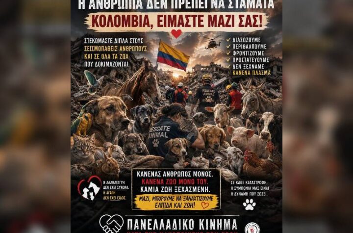 Κακοποίηση ζώων και ακτιβισμός - Η αδέσμευτη φωνή των τετράποδων