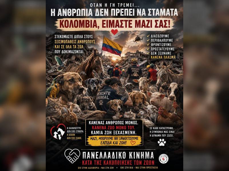 Κακοποίηση ζώων και ακτιβισμός - Η αδέσμευτη φωνή των τετράποδων