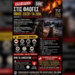 Κακοποίηση ζώων και ακτιβισμός - Η αδέσμευτη φωνή των τετράποδων