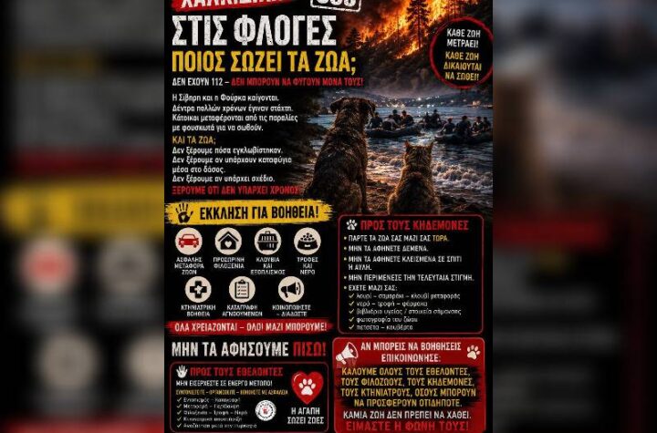Κακοποίηση ζώων και ακτιβισμός - Η αδέσμευτη φωνή των τετράποδων