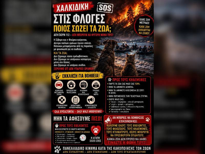 Κακοποίηση ζώων και ακτιβισμός - Η αδέσμευτη φωνή των τετράποδων