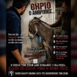 Κακοποίηση ζώων και ακτιβισμός - Η αδέσμευτη φωνή των τετράποδων
