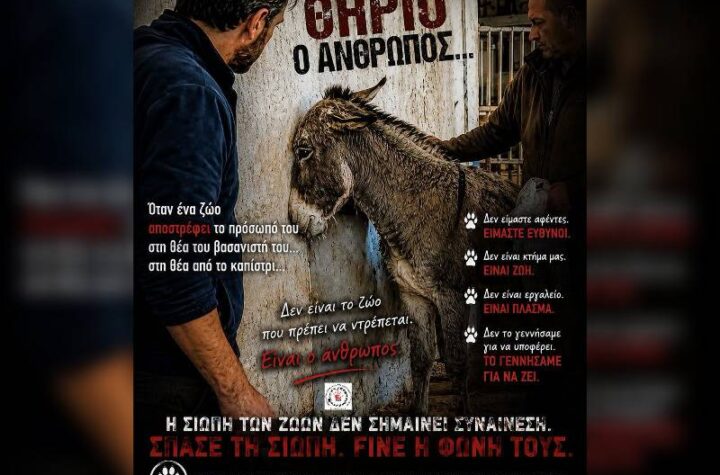 Κακοποίηση ζώων και ακτιβισμός - Η αδέσμευτη φωνή των τετράποδων