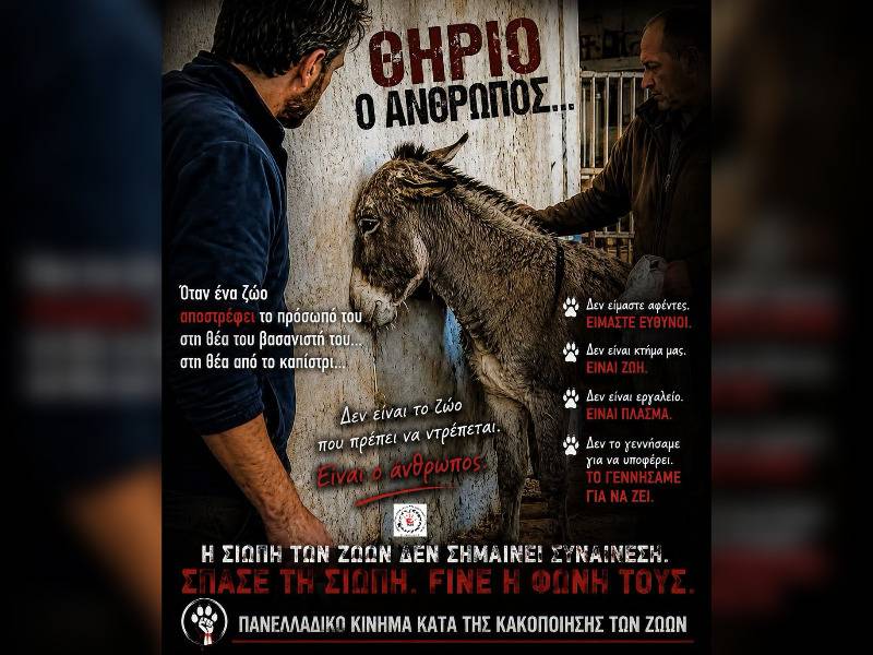 Κακοποίηση ζώων και ακτιβισμός - Η αδέσμευτη φωνή των τετράποδων