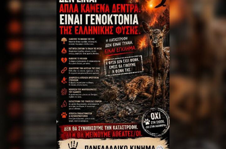 Κακοποίηση ζώων και ακτιβισμός - Η αδέσμευτη φωνή των τετράποδων