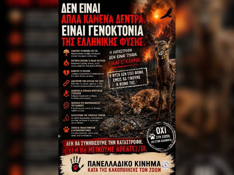 Κακοποίηση ζώων και ακτιβισμός - Η αδέσμευτη φωνή των τετράποδων