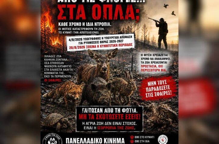 Κακοποίηση ζώων και ακτιβισμός - Η αδέσμευτη φωνή των τετράποδων