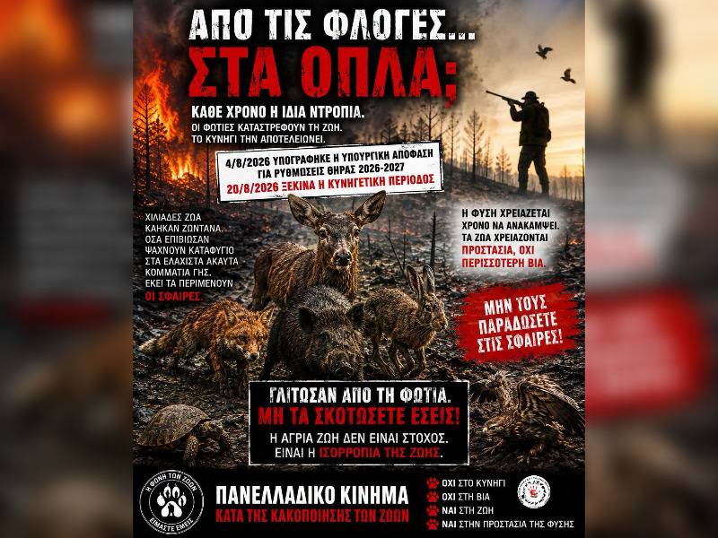 Κακοποίηση ζώων και ακτιβισμός - Η αδέσμευτη φωνή των τετράποδων