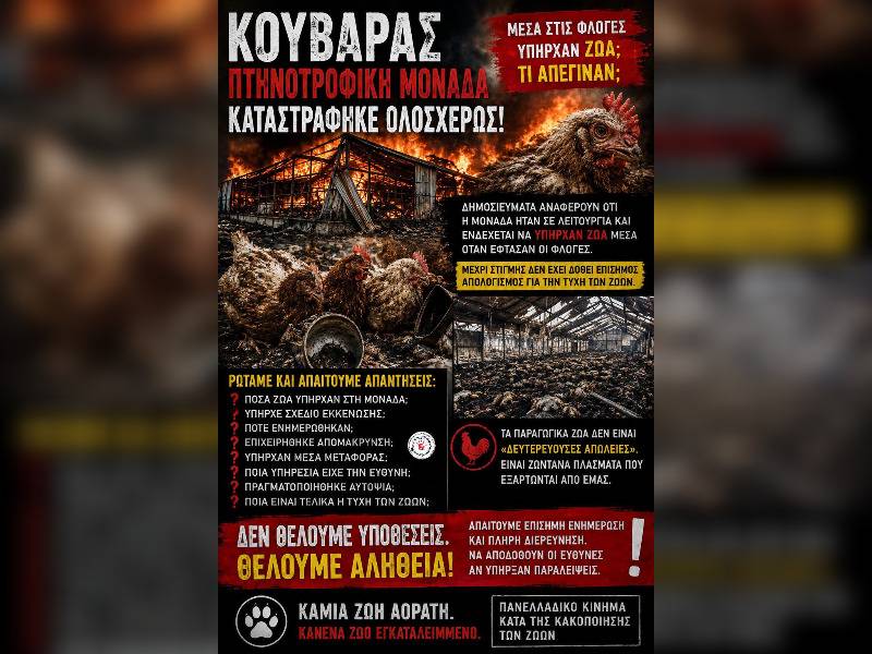 Κακοποίηση ζώων και ακτιβισμός - Η αδέσμευτη φωνή των τετράποδων