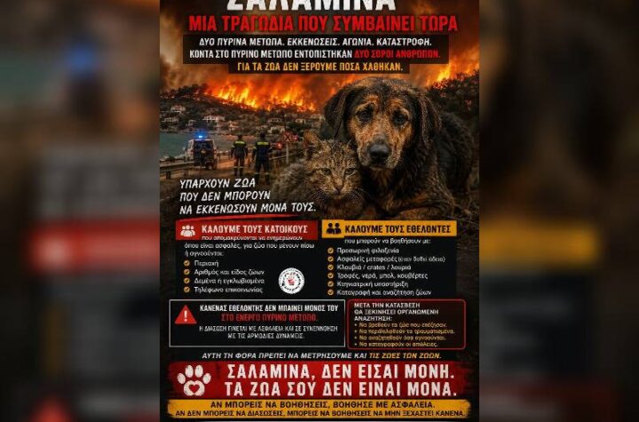 Κακοποίηση ζώων και ακτιβισμός - Η αδέσμευτη φωνή των τετράποδων