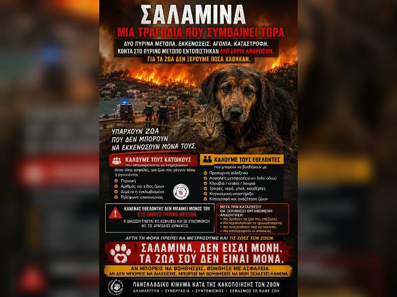 Κακοποίηση ζώων και ακτιβισμός - Η αδέσμευτη φωνή των τετράποδων