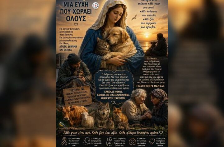 Κακοποίηση ζώων και ακτιβισμός - Η αδέσμευτη φωνή των τετράποδων