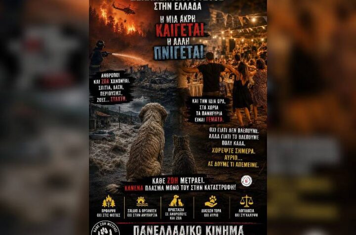 Κακοποίηση ζώων και ακτιβισμός - Η αδέσμευτη φωνή των τετράποδων