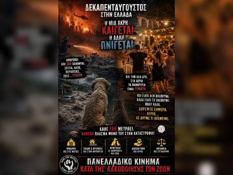 Κακοποίηση ζώων και ακτιβισμός - Η αδέσμευτη φωνή των τετράποδων