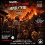 Κακοποίηση ζώων και ακτιβισμός - Η αδέσμευτη φωνή των τετράποδων
