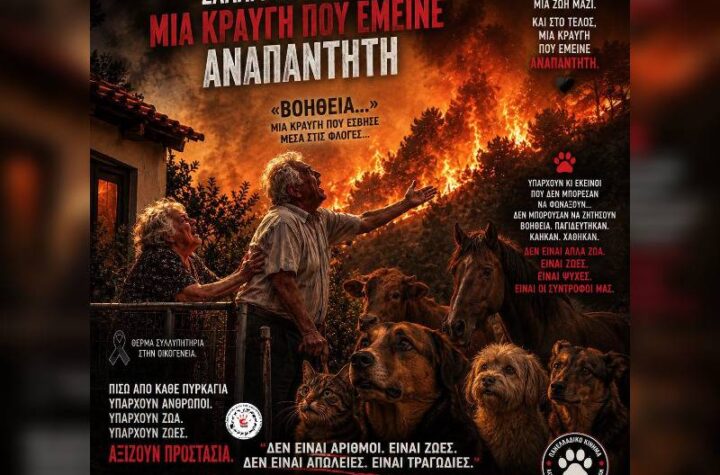 Κακοποίηση ζώων και ακτιβισμός - Η αδέσμευτη φωνή των τετράποδων