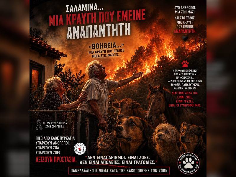 Κακοποίηση ζώων και ακτιβισμός - Η αδέσμευτη φωνή των τετράποδων
