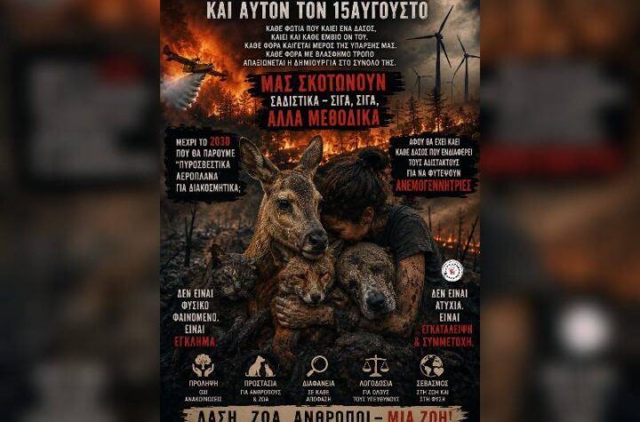 Κακοποίηση ζώων και ακτιβισμός - Η αδέσμευτη φωνή των τετράποδων
