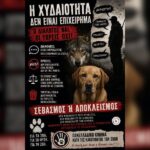 Κακοποίηση ζώων και ακτιβισμός - Η αδέσμευτη φωνή των τετράποδων