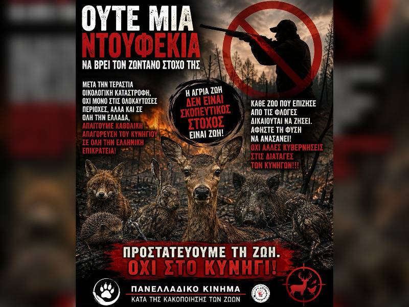 Κακοποίηση ζώων και ακτιβισμός - Η αδέσμευτη φωνή των τετράποδων