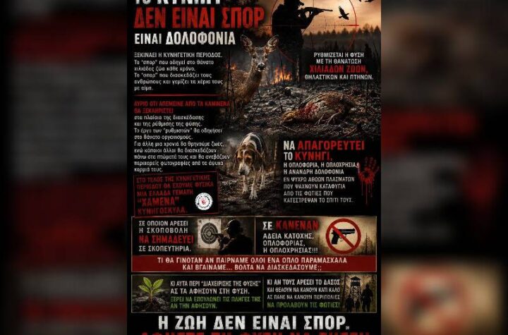 Κακοποίηση ζώων και ακτιβισμός - Η αδέσμευτη φωνή των τετράποδων