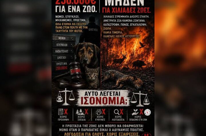 Κακοποίηση ζώων και ακτιβισμός - Η αδέσμευτη φωνή των τετράποδων