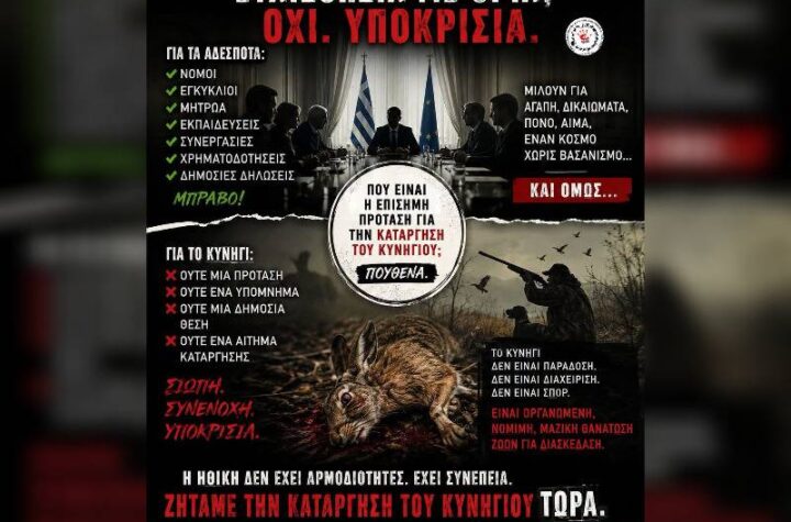 Κακοποίηση ζώων και ακτιβισμός - Η αδέσμευτη φωνή των τετράποδων