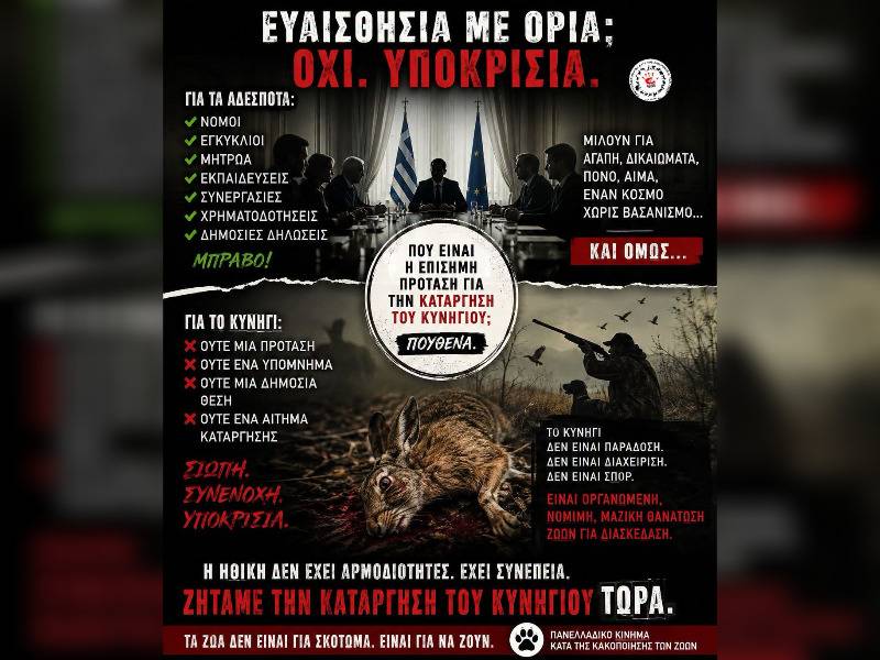 Κακοποίηση ζώων και ακτιβισμός - Η αδέσμευτη φωνή των τετράποδων