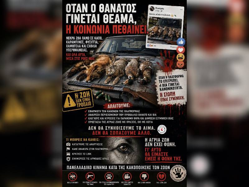 Κακοποίηση ζώων και ακτιβισμός - Η αδέσμευτη φωνή των τετράποδων