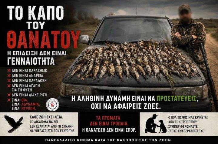 Κακοποίηση ζώων και ακτιβισμός - Η αδέσμευτη φωνή των τετράποδων