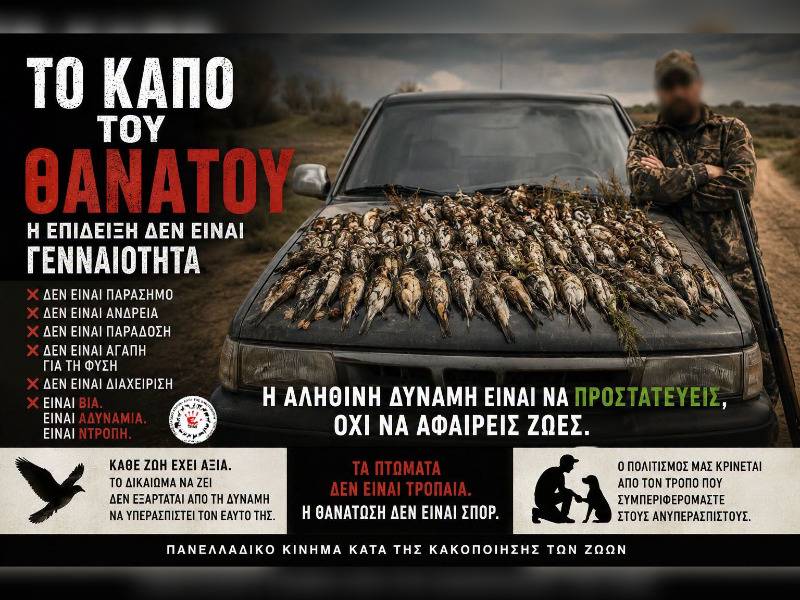 Κακοποίηση ζώων και ακτιβισμός - Η αδέσμευτη φωνή των τετράποδων