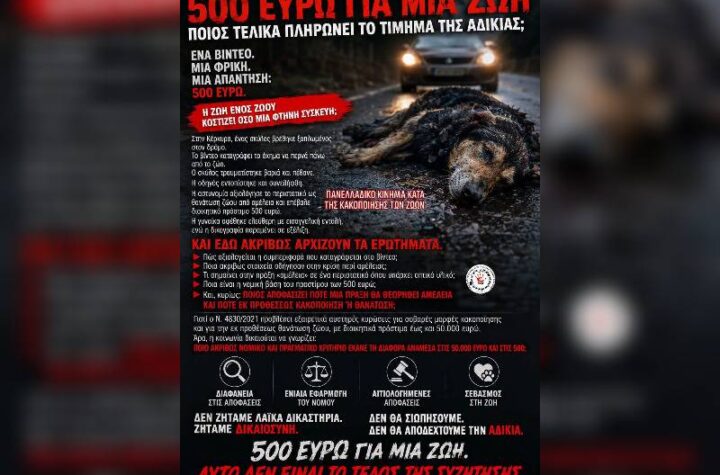 Κακοποίηση ζώων και ακτιβισμός - Η αδέσμευτη φωνή των τετράποδων