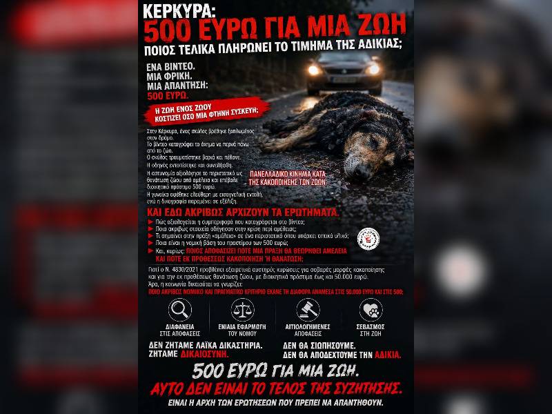 Κακοποίηση ζώων και ακτιβισμός - Η αδέσμευτη φωνή των τετράποδων