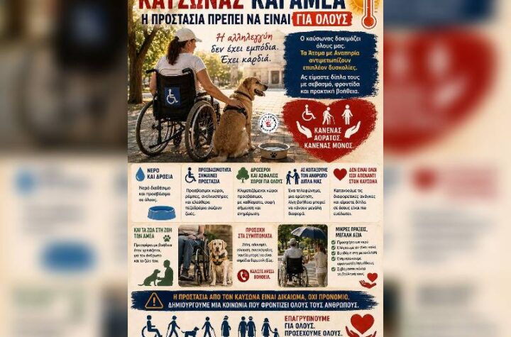 Κακοποίηση ζώων και ακτιβισμός - Η αδέσμευτη φωνή των τετράποδων
