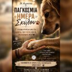 Κακοποίηση ζώων και ακτιβισμός - Η αδέσμευτη φωνή των τετράποδων