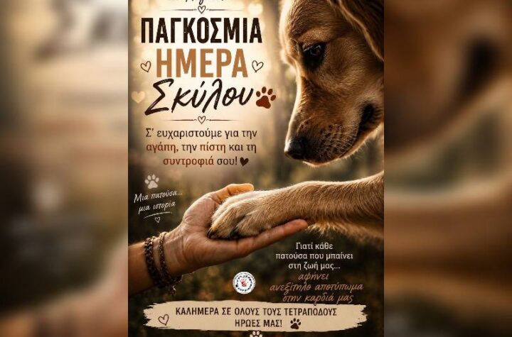 Κακοποίηση ζώων και ακτιβισμός - Η αδέσμευτη φωνή των τετράποδων