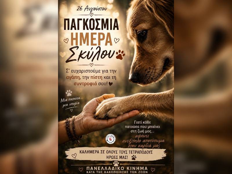 Κακοποίηση ζώων και ακτιβισμός - Η αδέσμευτη φωνή των τετράποδων