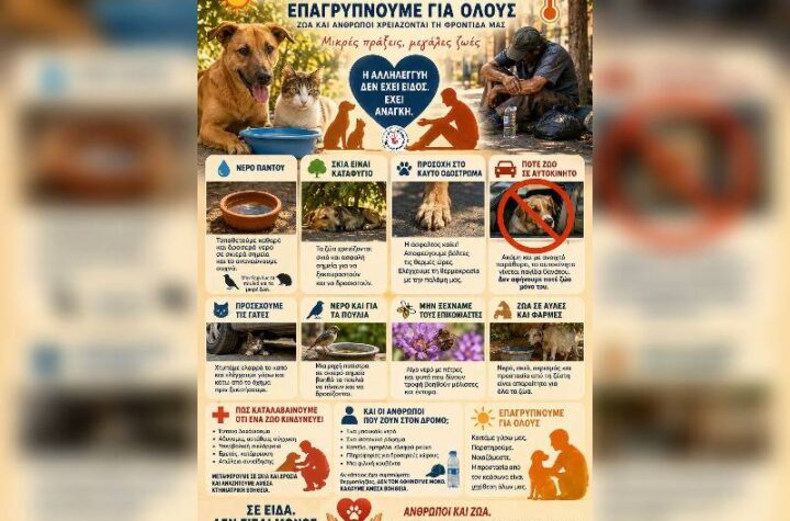 Κακοποίηση ζώων και ακτιβισμός - Η αδέσμευτη φωνή των τετράποδων
