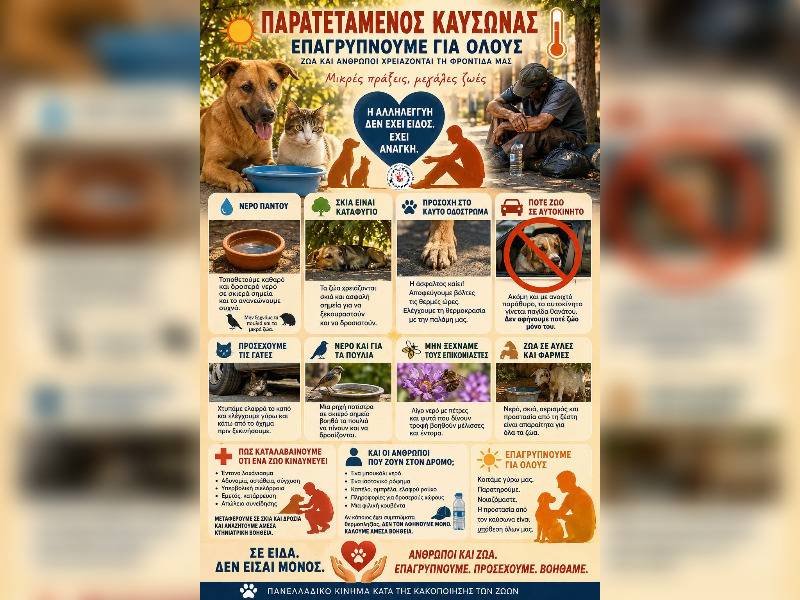 Κακοποίηση ζώων και ακτιβισμός - Η αδέσμευτη φωνή των τετράποδων